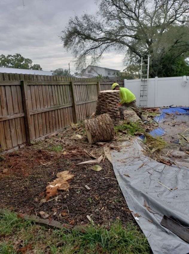 Stump removal service
