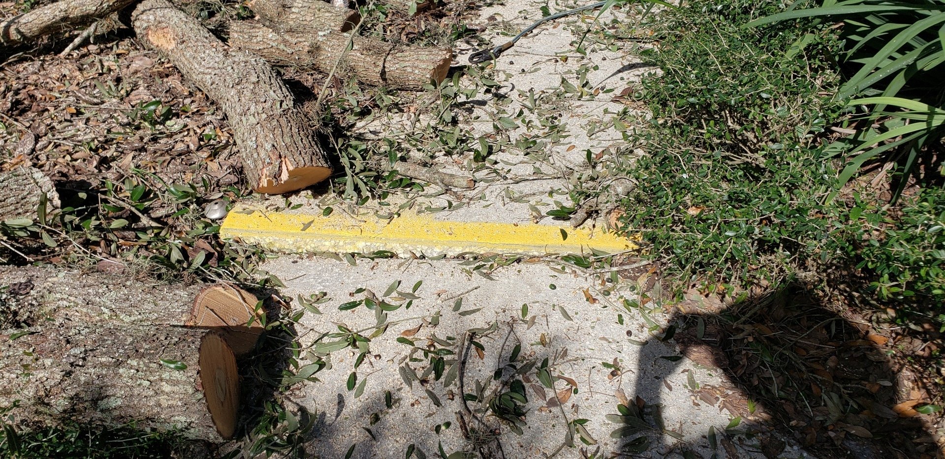Have You Noticed Cracks In Your Driveway, Walkways, Or Pool Deck?