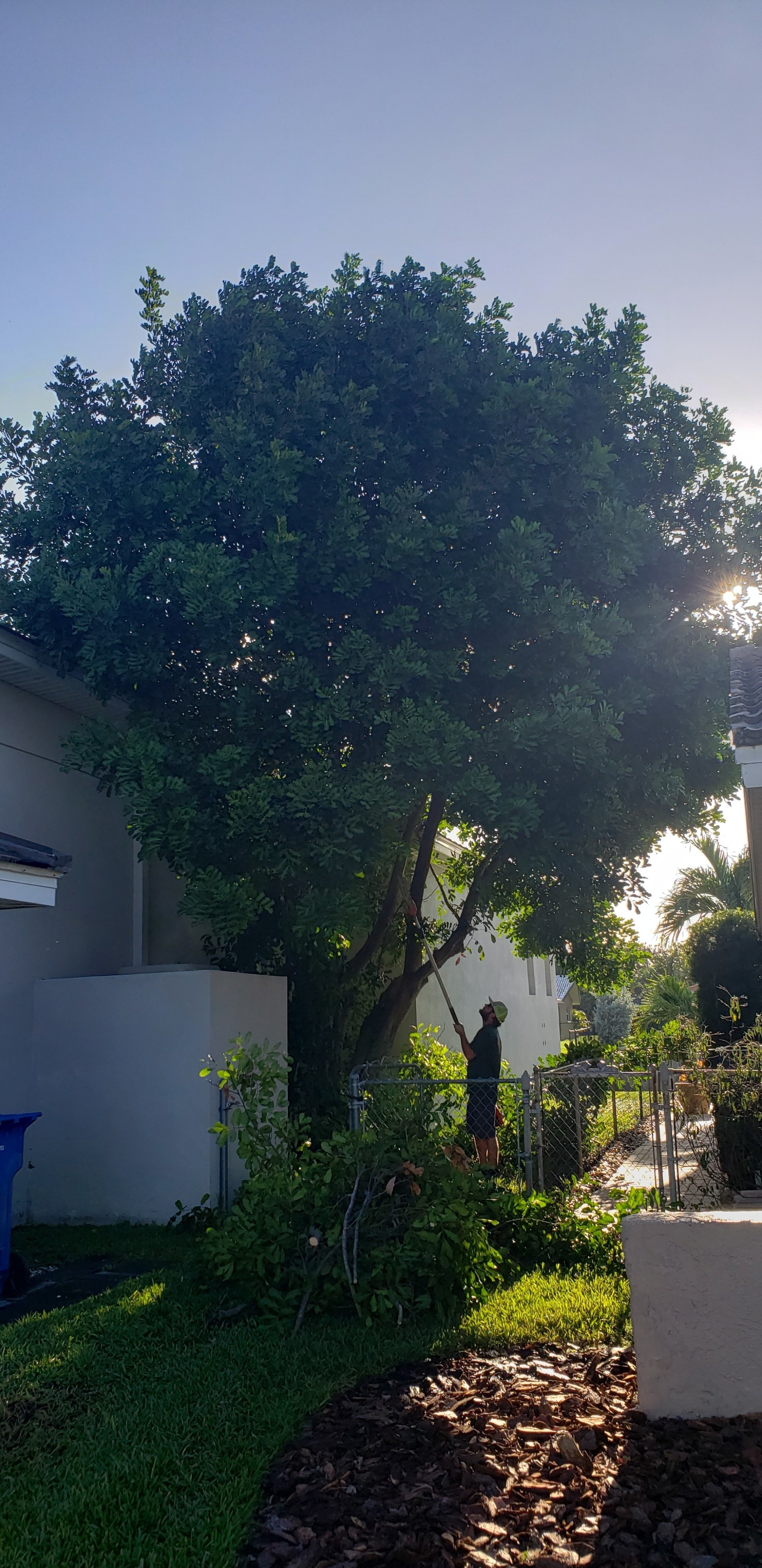 Are You Spending Hours Unclogging Leaves From Your Gutters?
