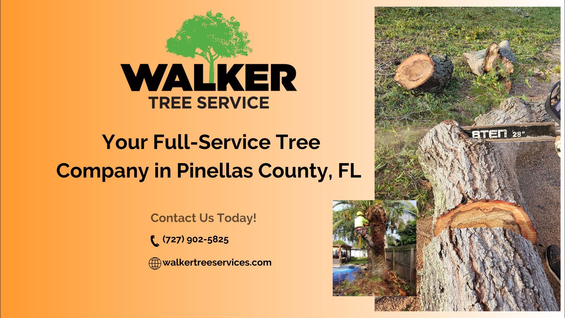 Walker Tree Service: Your Full-Service Tree Company in Pinellas County, FL