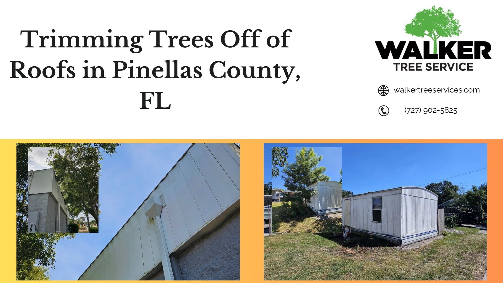 Trimming Trees Off of Roofs in Pinellas County, FL