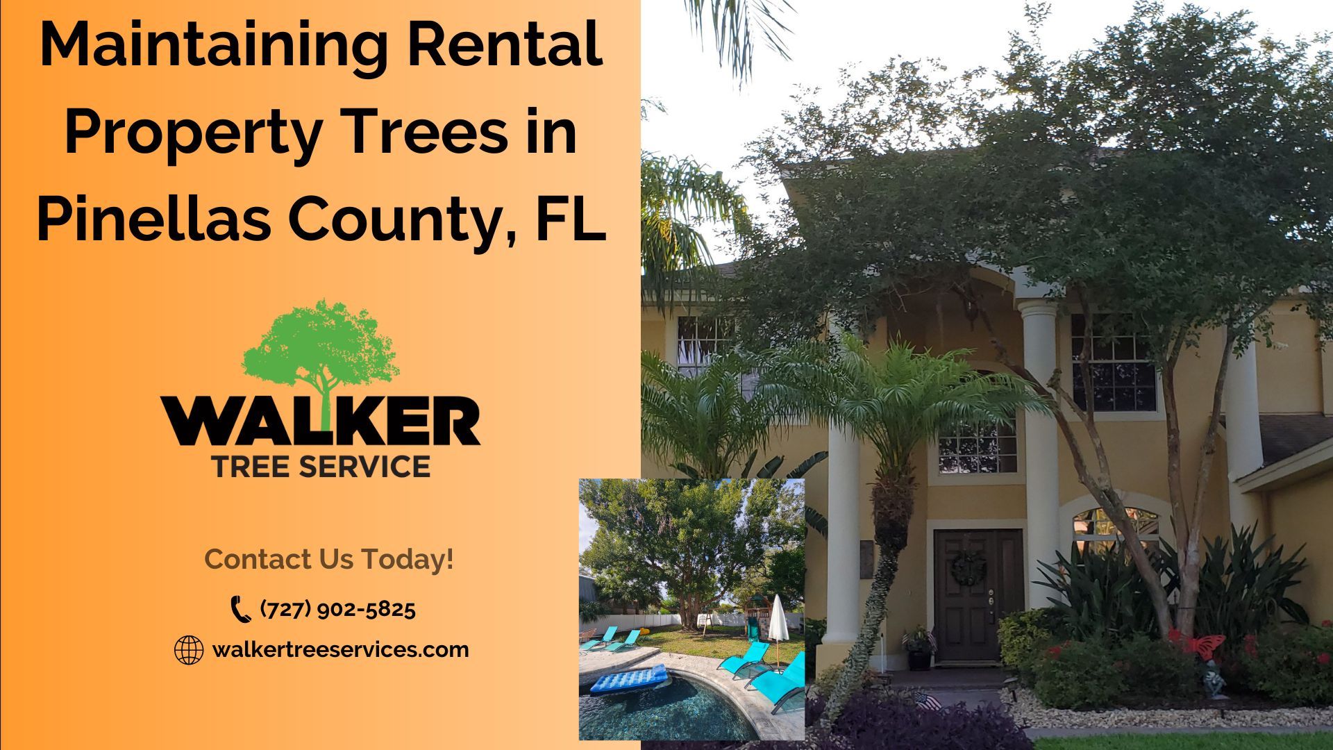 Maintaining Rental Property Trees in Pinellas County, FL