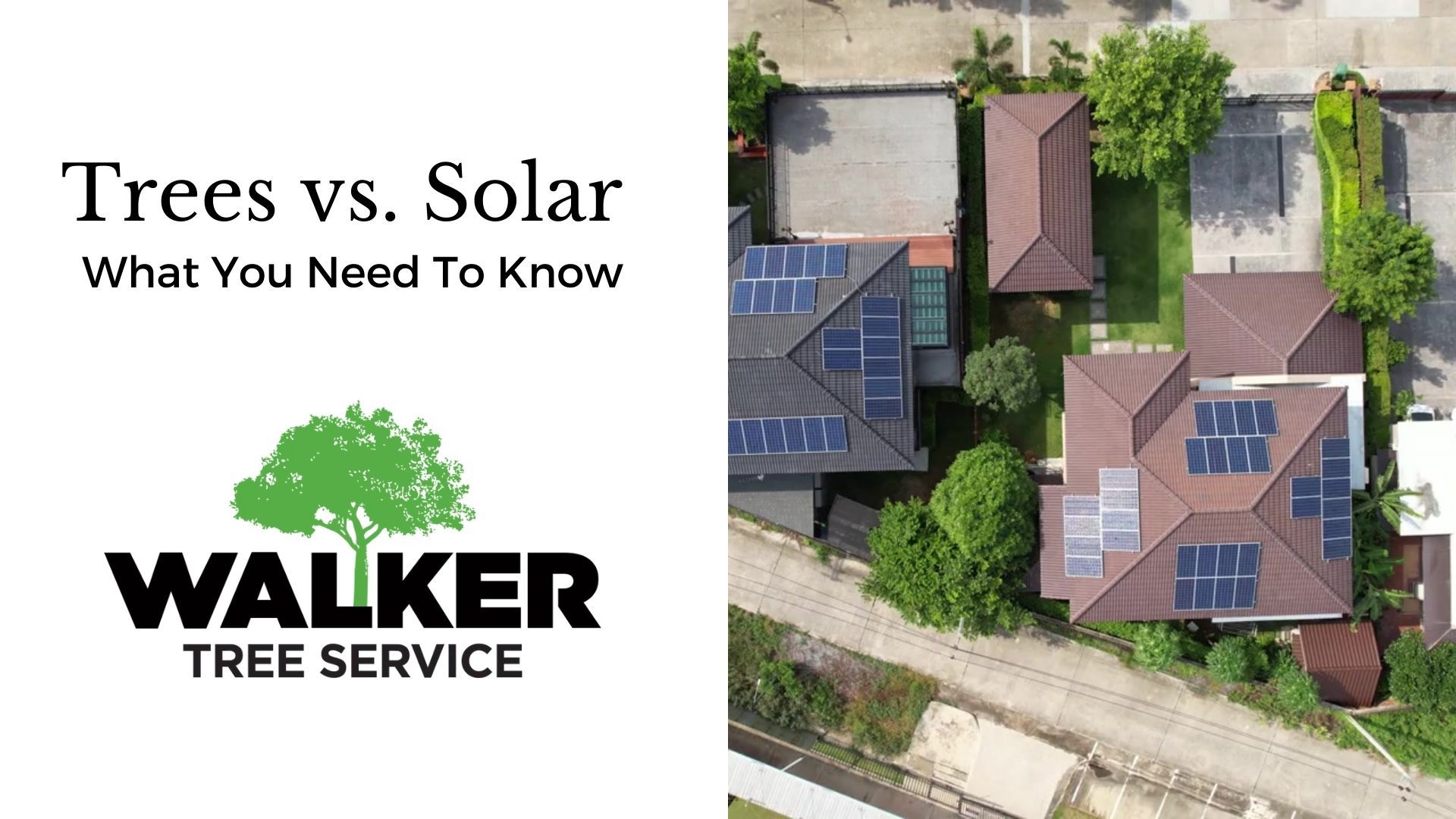 How do trees affect solar panels?