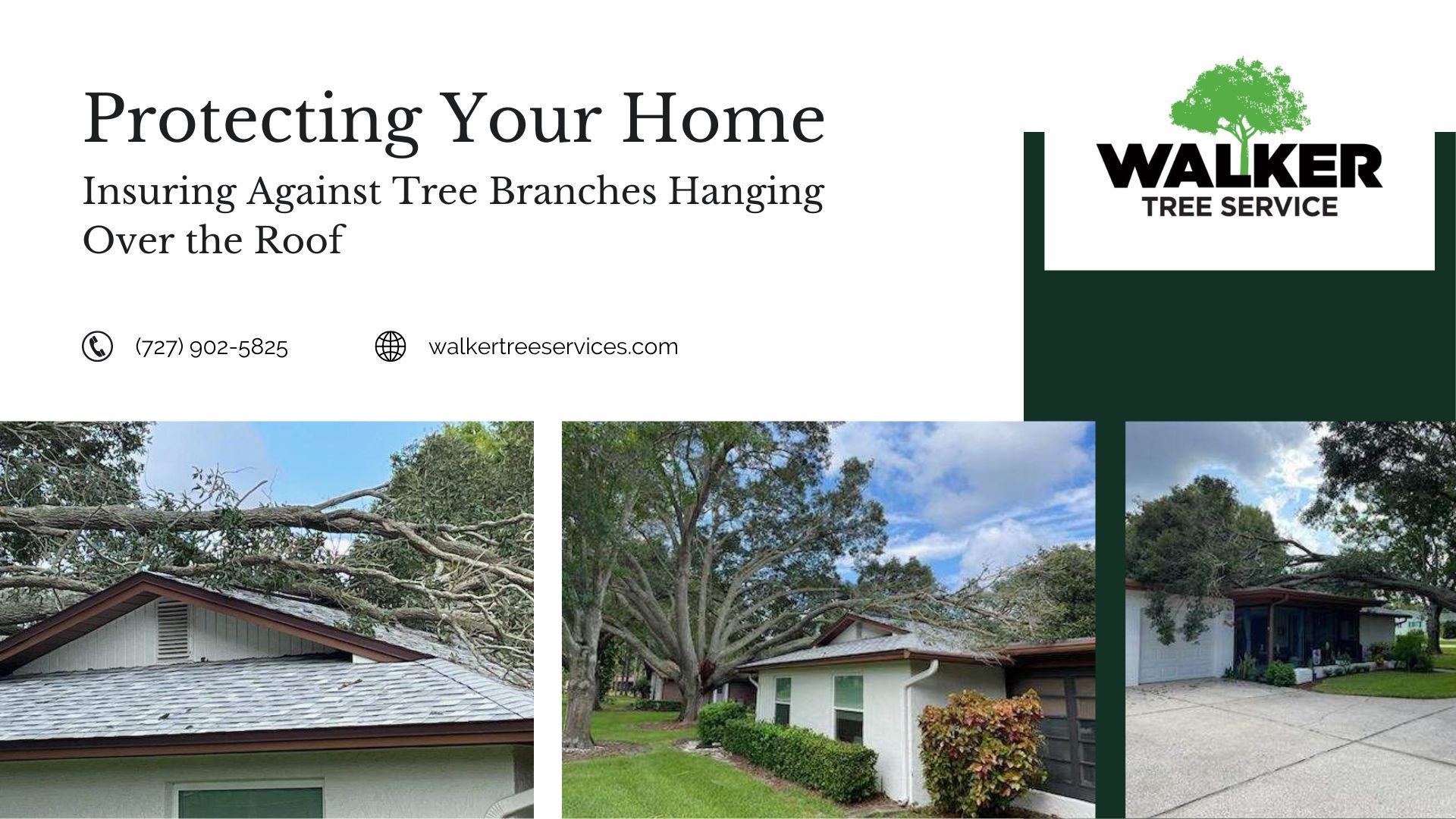 Protecting Your Home: Insuring Against Tree Branches Hanging Over the Roof