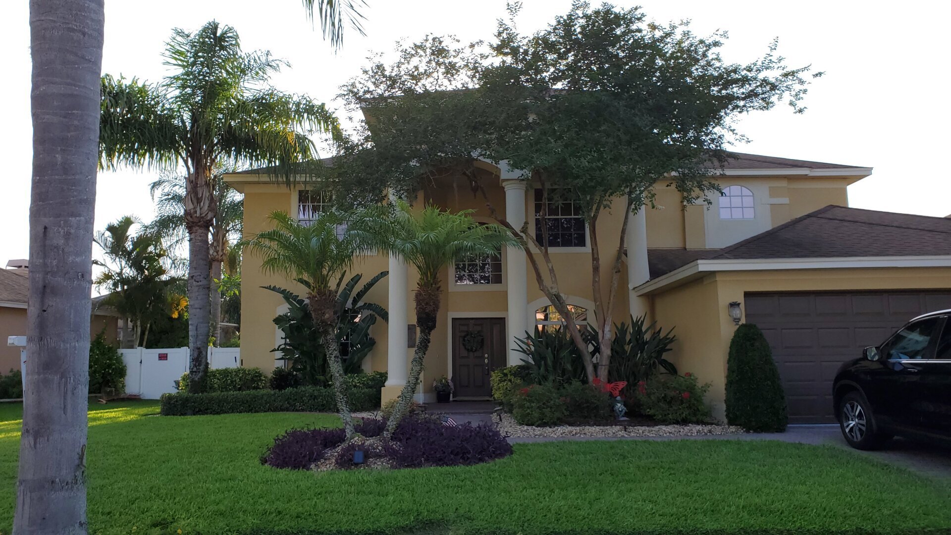 6 Ft. Up, 6 Ft. Off, How Your Trees Impact Your Homeowner’s Insurance Policy, Pinellas County.