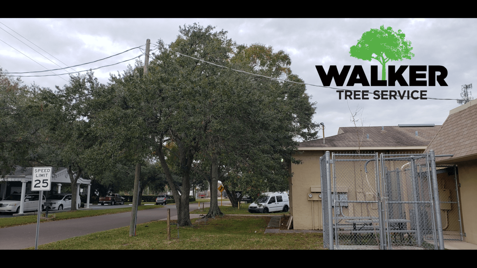 Is Your Commercial Property In Need Of A Good Tree Trimming?