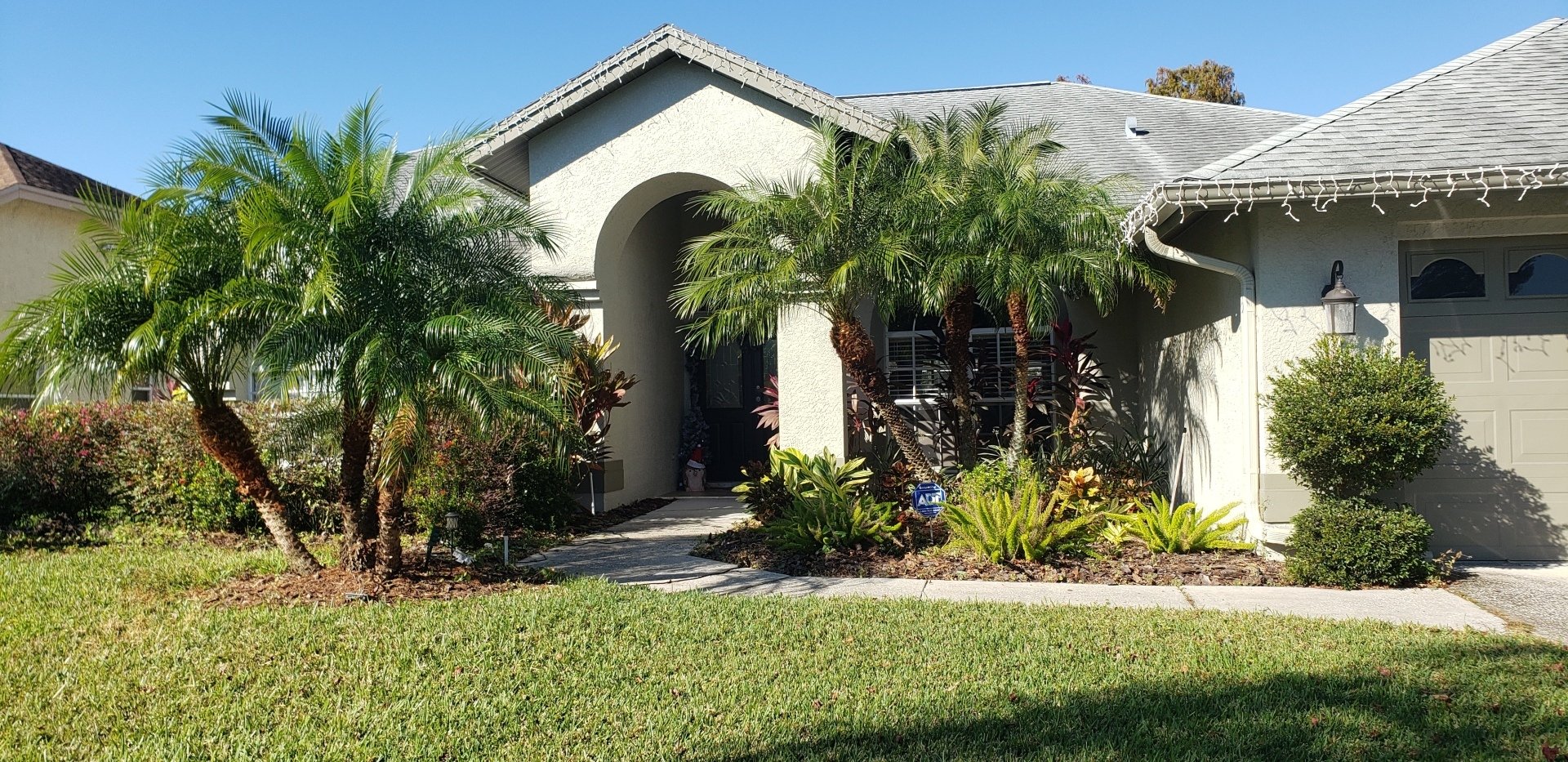 Is Your Yard Holiday Ready? Tree Trimming Services To The Rescue.
