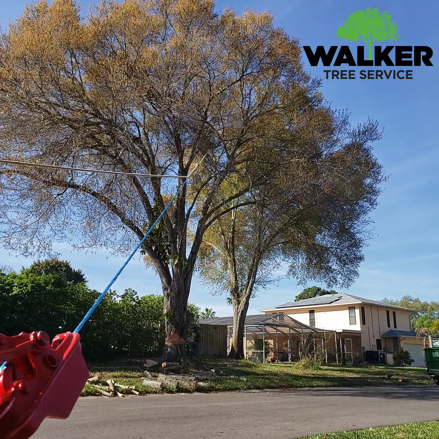 Ever Seen A Large Tree Dropped? Want To? Check Out This Video!