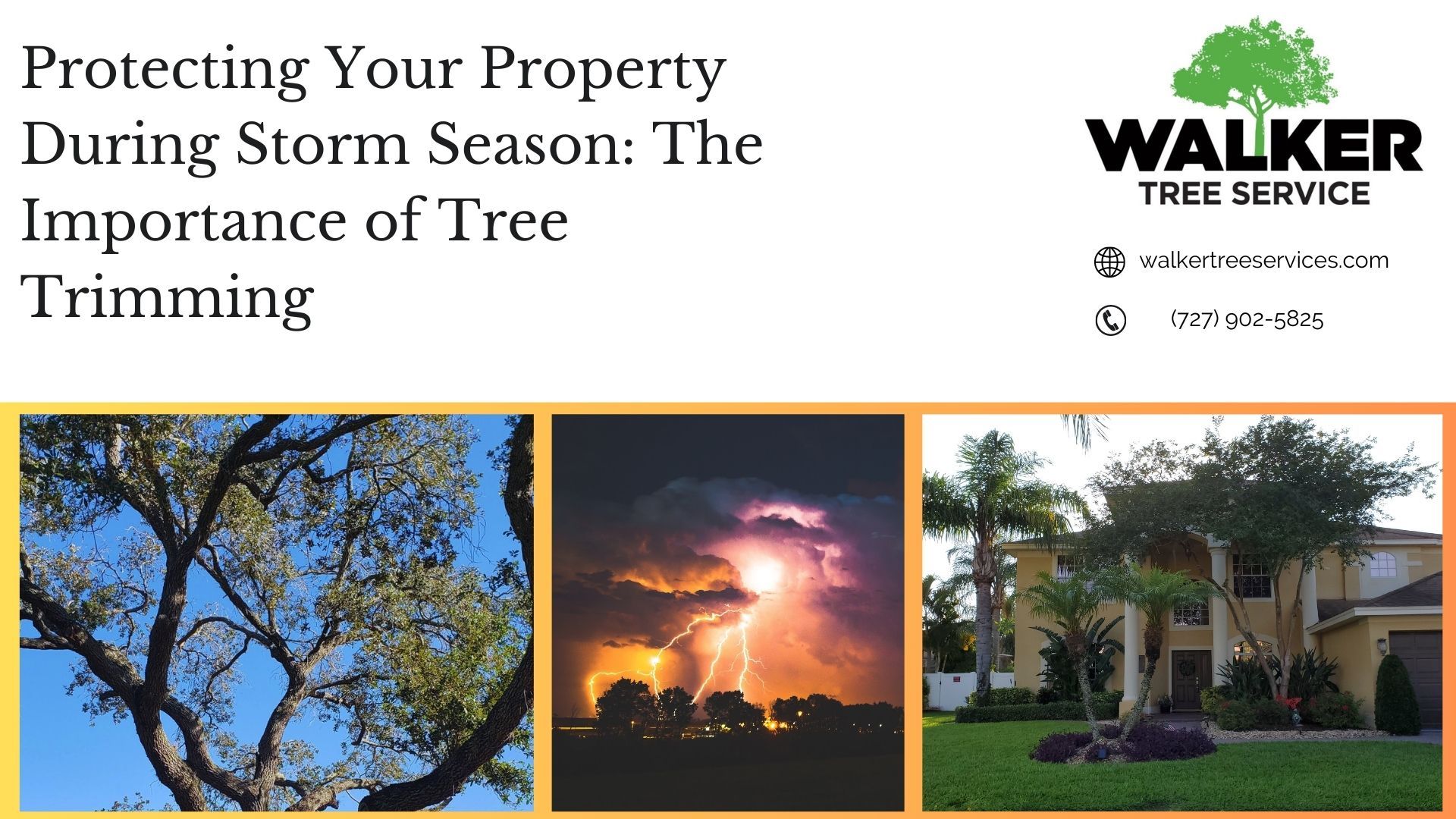 Protecting Your Property During Storm Season: The Importance of Tree Trimming