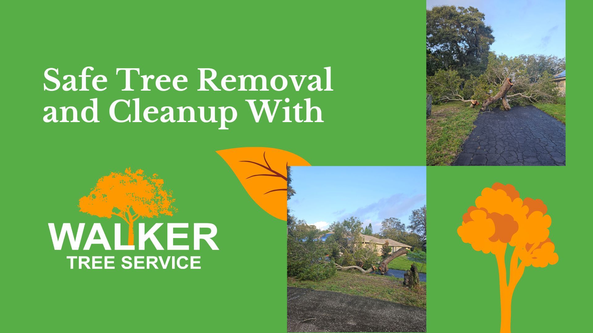 Help with Storm-Damaged Trees | Hurricane Cleanup