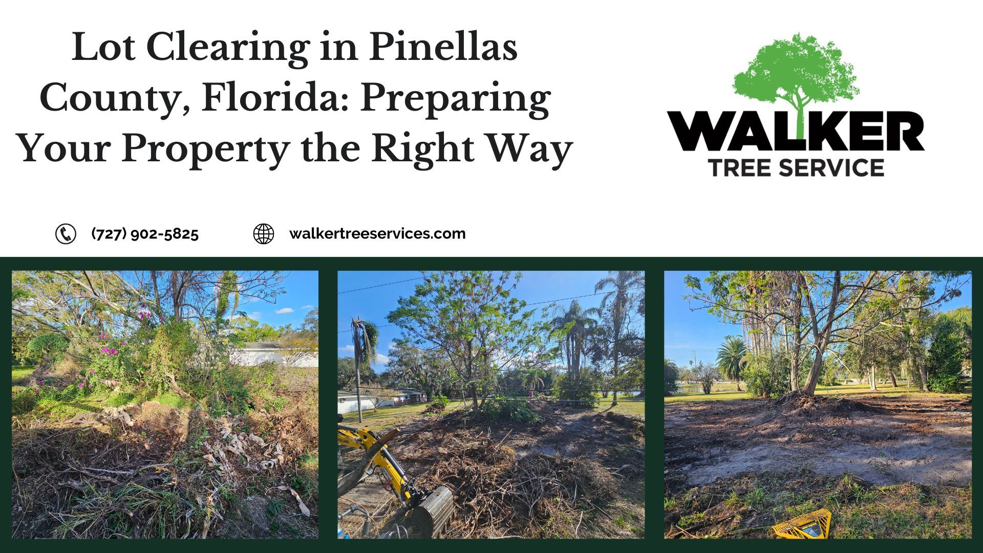 Lot Clearing in Pinellas County, Florida: Preparing Your Property the Right Way