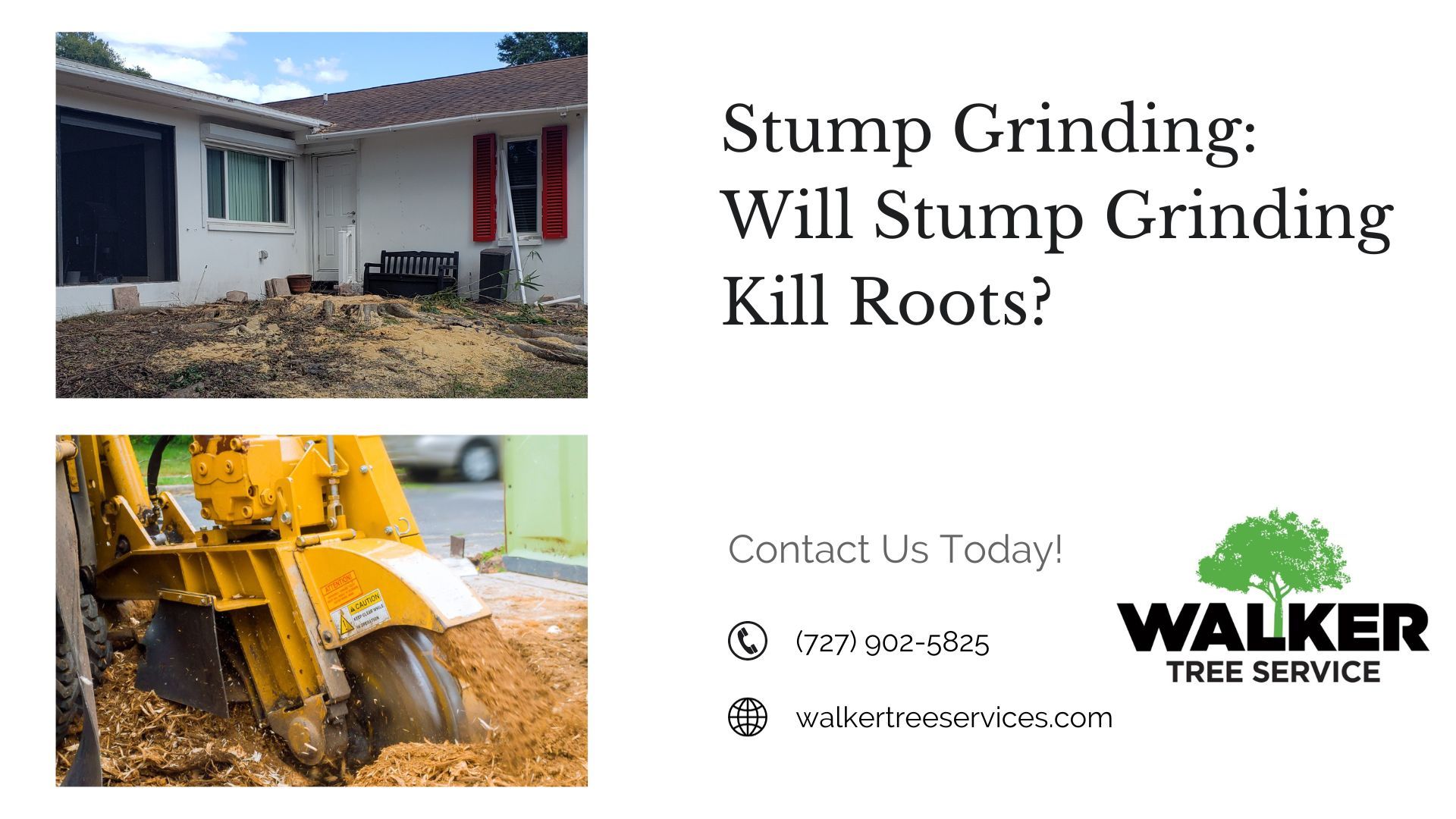Stump Grinding: Will Stump Grinding Kill Roots?