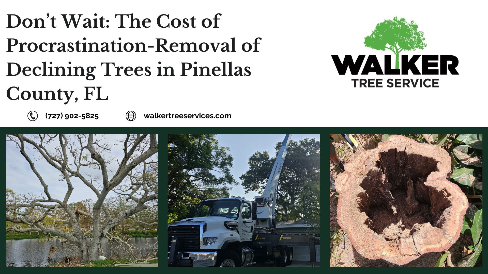 Don’t Wait: The Cost of Procrastination-Removal of Declining Trees in Pinellas County, FL