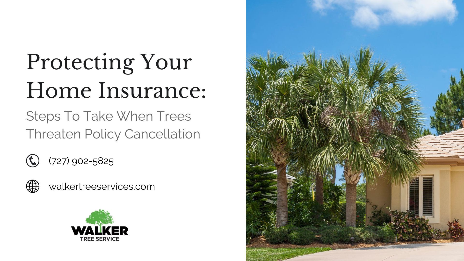 Protecting Your Home Insurance: Steps to Take When Trees Threaten Policy Cancellation