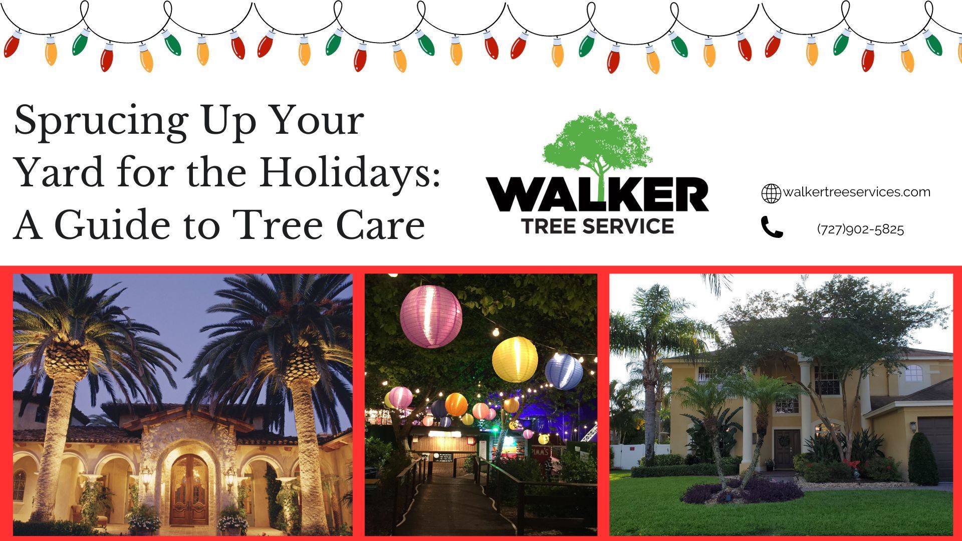 Sprucing Up Your Yard for the Holidays: A Guide to Tree Care