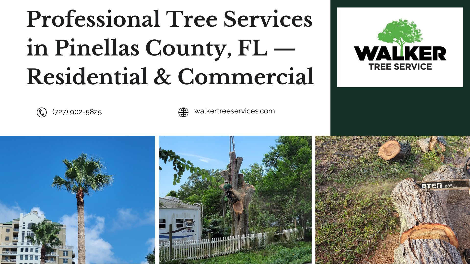 Professional Tree Services in Pinellas County, FL — Residential & Commercial