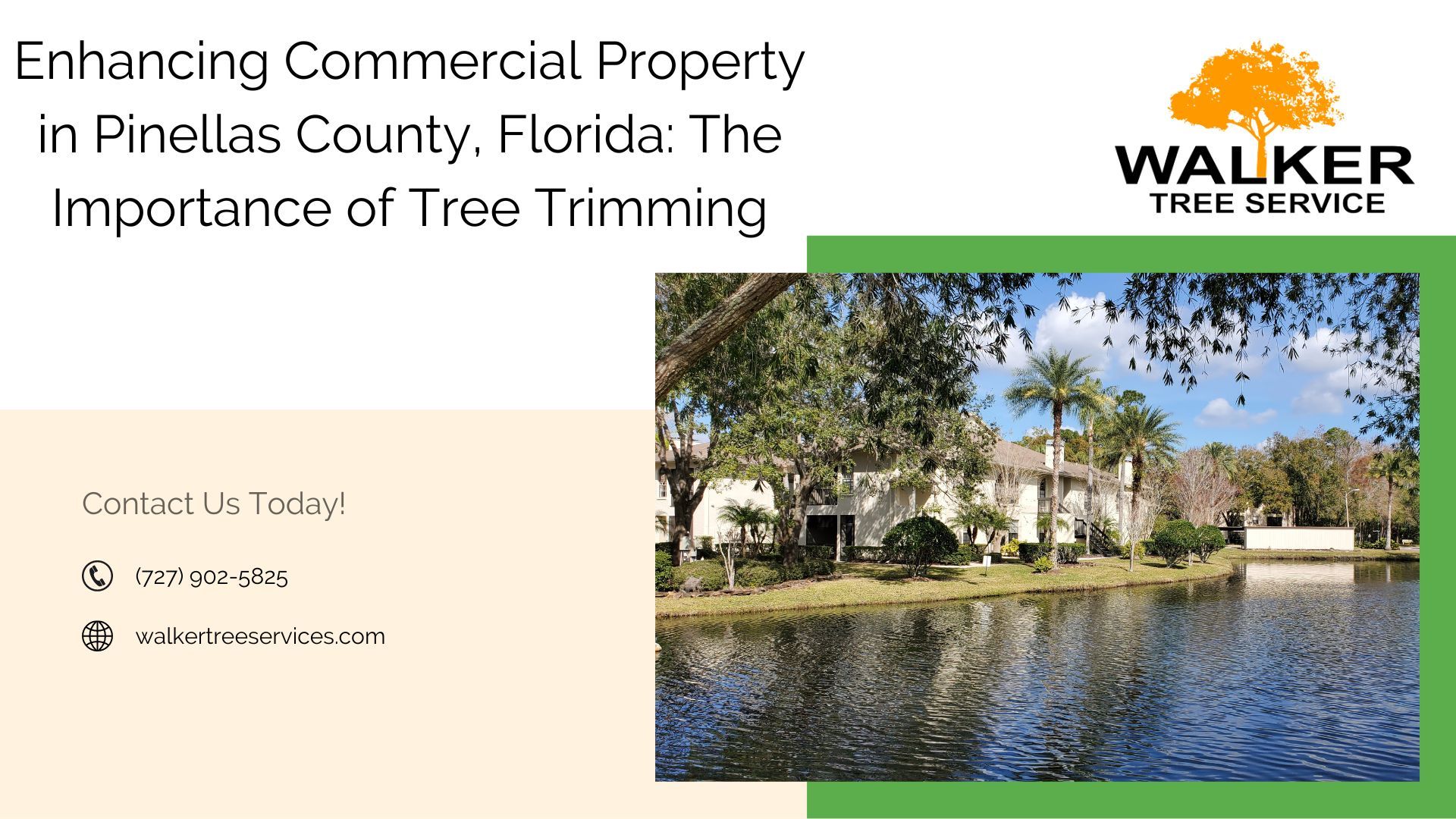 Enhancing Commercial Property in Pinellas County, Florida: The Importance of Tree Trimming