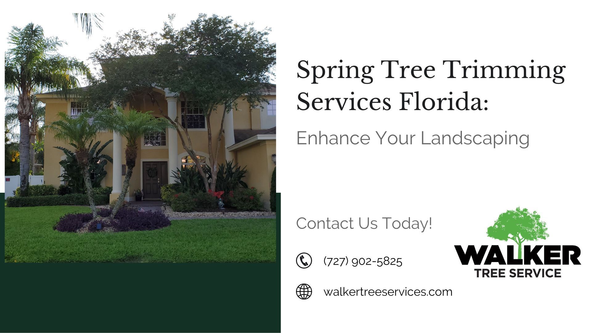Spring Tree Trimming Services Florida: Enhance Your Landscaping