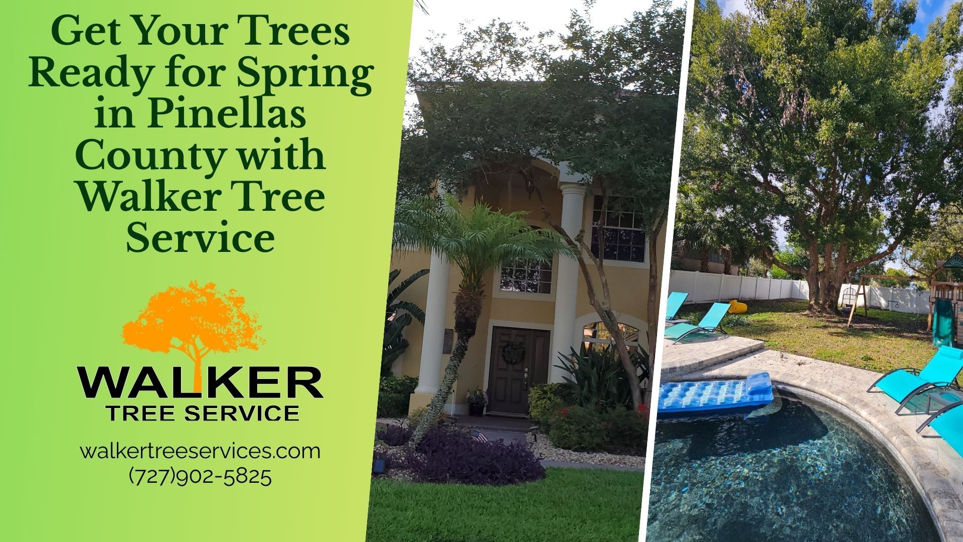 Get Your Trees Ready for Spring in Pinellas County with Walker Tree Service