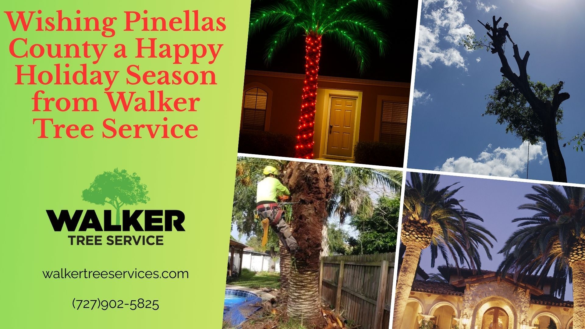 Wishing Pinellas County a Happy Holiday Season from Walker Tree Service