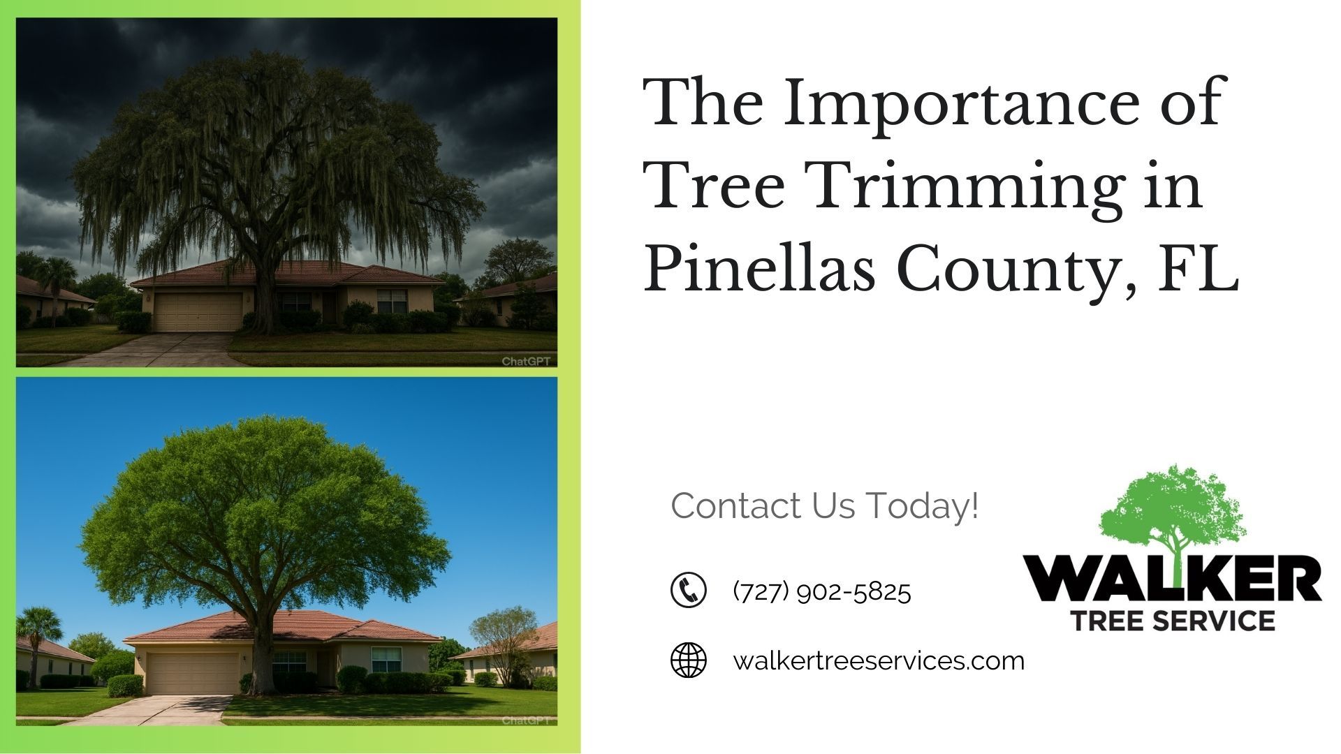 The Importance of Tree Trimming in Pinellas County, FL