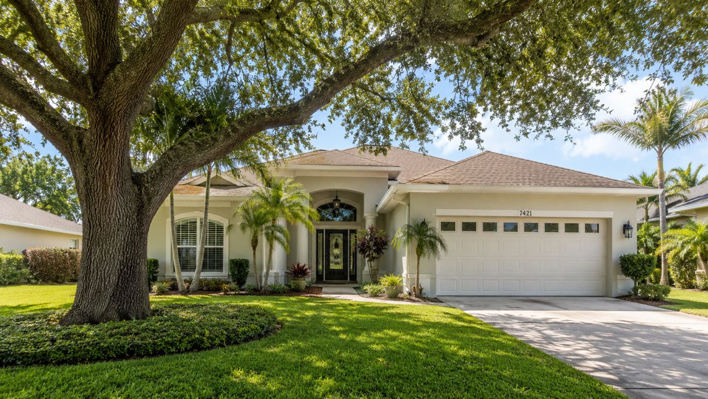 Pinellas County Storm Prep: Tree Safety Guide